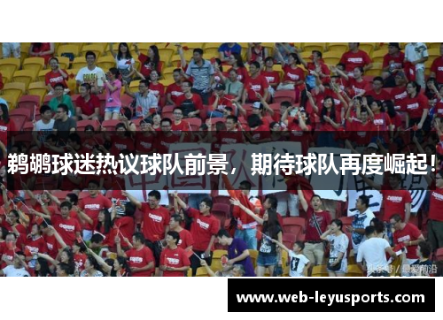 鹈鹕球迷热议球队前景，期待球队再度崛起！