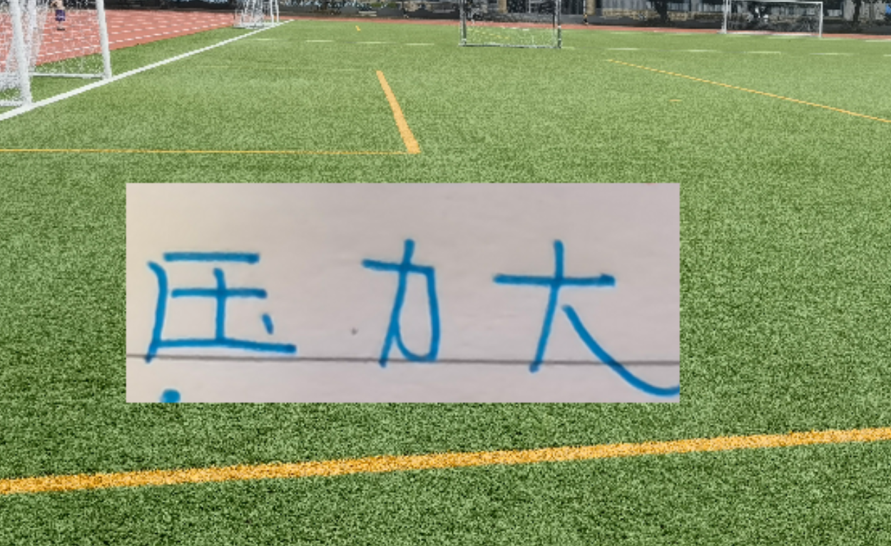 乐鱼app-冰火两重天！四大澳洲教头 浙江跟北京国安主帅不好过 谁会先下课